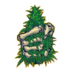 image 18-PhotoRoom (1) 11