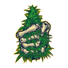 image 18-PhotoRoom (1) 4