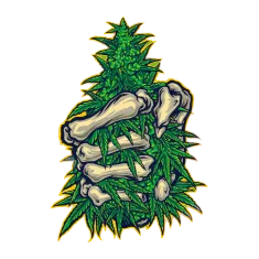 image 18-PhotoRoom (1) 8