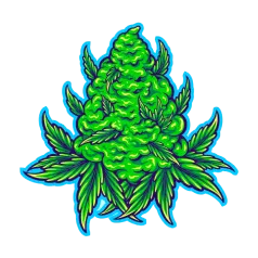 image 19-PhotoRoom (1) 6